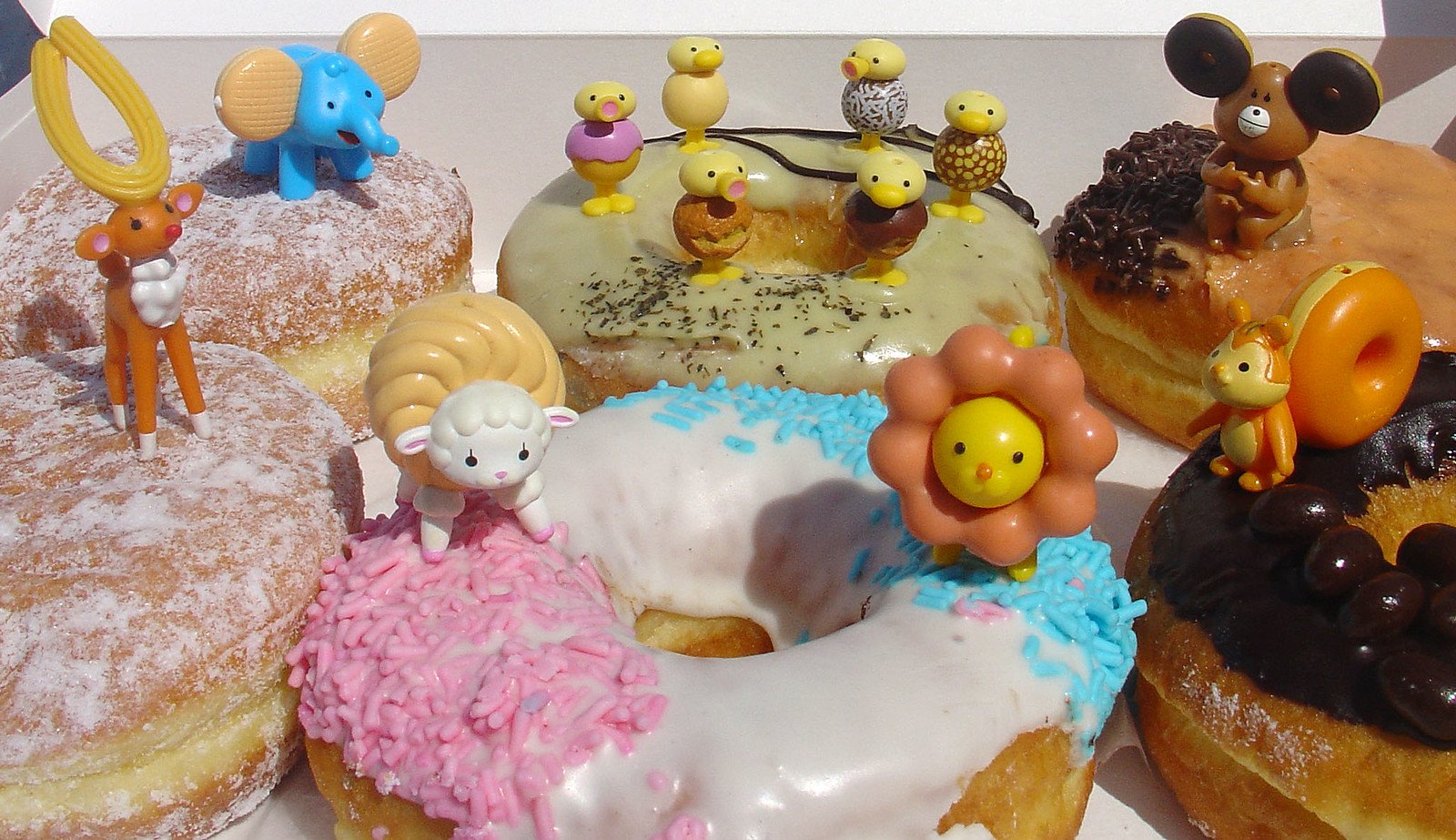 🍩 다스킨 박물관 (다스킨 뮤지아무) 이미지 8